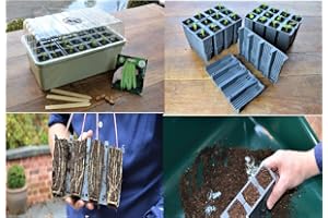 AuraHome Garden Haven 28 Cell Deep Root Success Kit Plug Plant Seed Tray Trainer 12cm Deep, with 8cm height Lid With Dial Ventilator Each Cell has Drainage Hole & 4 Side Ventilation holes Made in UK