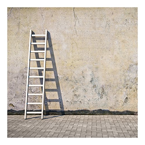 Apalis Vliestapete Blank Fototapete Quadrat | Vlies Tapete Wandtapete Wandbild Foto 3D Fototapete für Schlafzimmer Wohnzimmer Küche | Größe: 240×240 cm, beige, 97515 - 2