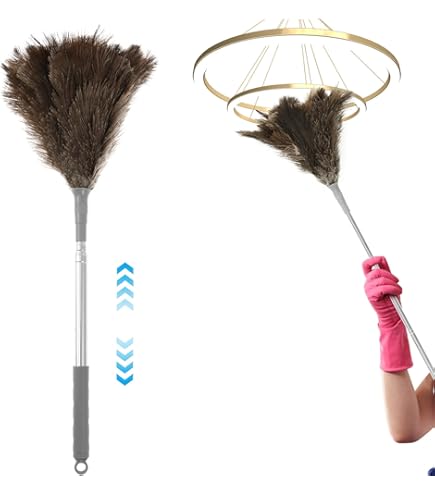 Retractable Duster Long Handle, Feather Duster Long Handle - View #5