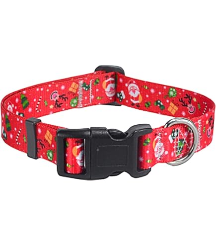 Asvin Collare Per Cani, Con Papillon Per Cani Collare, Collare Cane Personalizzato, Comodo Collare Per Cani Regolabile, Per Cani Di Taglia Piccola Media Grande