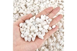 ZOGPLG 3.97lb Natural White Gravel White Decorative Stones, Natural Polished Plant Pot Stone River Rocks for Landscaping, Vase Fillers,Succulents,Aquarium and Garden Decoration,Reusable Small Stones