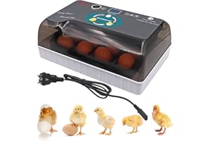 Brutautomat Vollautomatisch,Inkubator,Brutautomat für 12 Eier mit LED-Anzeige und Temperatur- und Feuchtigkeitskontrolle Zum AusbrüTen Von HüHnern, für HüHner, Enten, GäNse und GeflüGeleier Inkubator
