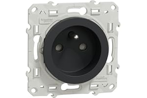 Schneider Electric - Odace, prise de courant 2P+T Anthracite, à vis, connexion rapide - S540059