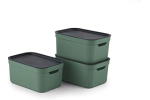 Rotho Jive Dekobox Set of 3 storage box 5l with lid, Plastic (PP recycled), green/anthracite, 3x5l (26.5 x 18.5 x 13.2 cm)