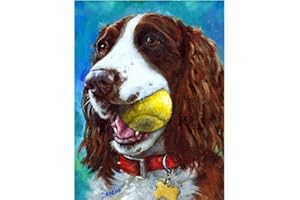 YUNLINZI Paint by Numbers for Adults, DIY Paint by Numbers for Adults, Springer spaniel animal tennis dog Linen Canvas Acrylic Stress Less Number Painting Hand painted Gifts home decoration