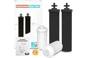 GUNNERAN Filtro de agua de repuesto para Berkey, 2 filtros de carbono y 2 filtros de fluoruro compatibles con el sistema de filtro de agua Berkey Gravity, paquete de 4