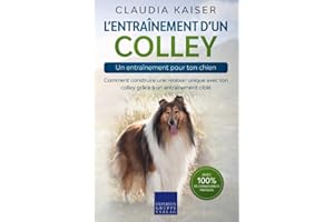 L’entraînement d’un colley – un entraînement pour ton chien: Comment construire une relation unique avec ton colley grâce à un entraînement ciblé