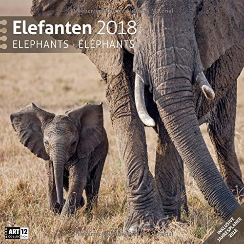 Elefanten 2018 Art12 Collection: Broschürenkalender