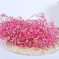 YIWOYI Natural Dry Flower Gypsophila Fresh Dried Preserved Flowers Gypsophila Paniculata Breath Flower Bouquets For Wedding Party Home Dekoration (Pink,15-30cm20g)
