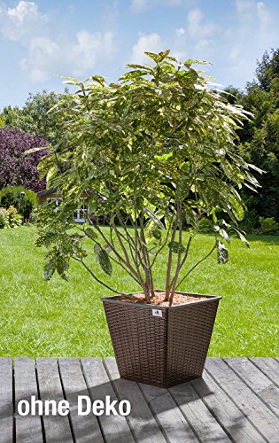 Gartenfreude 2 Stück 61 Liter Pflanzkübel Pflanzgefäße Blumenkübel Blumentopf für Blumen etc. aus Polyrattan 41,5 x 41,5 x 38 cm, wasserdichter Kunststofftopf, bicolour braun - 2