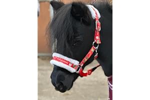 EQUIPRIDE Ensemble de licol pour cheval avec imprimé de Noël rouge - Mini Shetland rouge (Shetland)