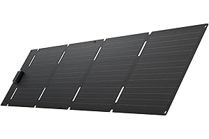 EF ECOFLOW 60W Portable & Foldable Solar Panel, 25% High-Efficiency N-Type Solar Cell, IP65 Waterproof & Dustproof, Design for Camping, Backpacks, SUVs, and Minivans