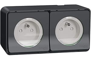 Schneider Electric Prise électrique, Gris, 2 prises