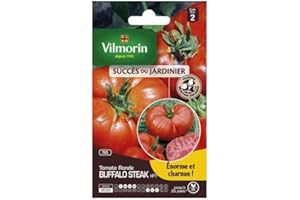 VILMORIN Tomate Buffalo Steak Sachet de graines