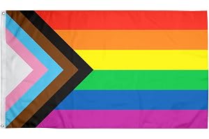 PHENO FLAGS Progress-flagga 90 x 150 cm – väderbeständig Pride-flagga med mässingsöljetter, 100 % polyester, robust dubbelsöm