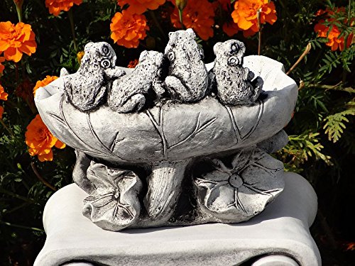 Vogelbad Vogeltränke Frosch 02 ca.4,5 kg Frostfest Wasserfest Nr.323 - 3