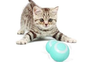 SPEEDY PANTHER Interaktives Katzenspielzeug Ball, Katzenspielzeug Intelligenz Katzenball Elektrisch, Automatisches Katzenspielzeug für Katzen