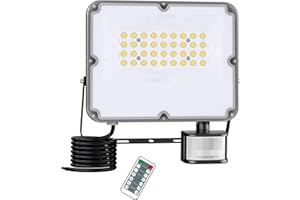 FEAHRZEUG 30W with PIR Remote Control LED Security Lights Outdoor Motion Sensor Mains Powered 3000 Lumen 6000K Cool White IP66 Waterproof Plug in Garden Flood Light Pir Floodlight Outside Garages