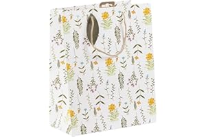 EUROWRAP Clairefontaine 30684-2C - Un sac cadeau Kraft- Format large - 26,5x14x33 cm - 210g - Motif : Fleurs Séchées, Floral - Emballage Cadeaux, Idéal pour : Jeux De Société, Puzzles, Cadeaux