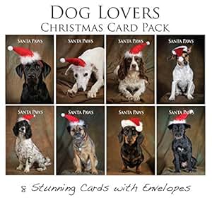 New 80 Christmas Card With Dog