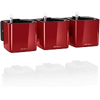 LECHUZA CUBE Green Wall Home Kit Glossy, Lackierte Oberfläche, Scarlet Rot, Hochwertiger Kunststoff, Inkl. Wandhalterung…