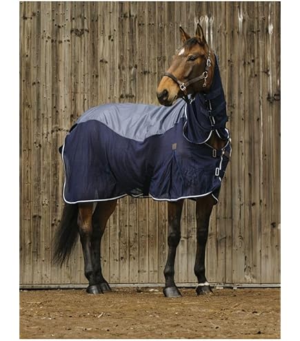Das 8 Besten Regendecken Für Pferde Im Überblick - Ratgeber