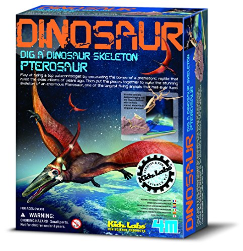 Dam SPRL - Jeu éducatif - Deterre ton Dinosaure