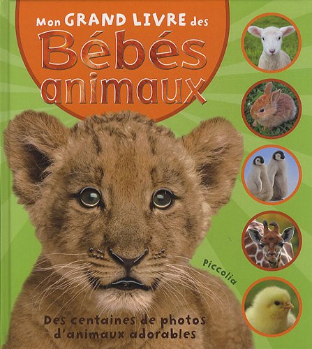 couverture de : Mon grand livre des b&eacute;b&eacute;s animaux