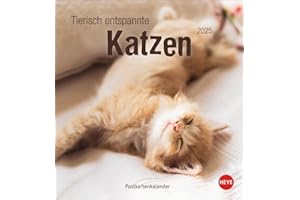 Tierisch entspannte Katzen Postkartenkalender 2025: Witzige Fotos verschlafender Stubentiger in einem Tischkalender zum Aufstellen oder Aufhängen. ... für Katzenfans. (Postkartenkalender Heye)