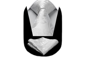 HISDERN Cravatte uomo Paisley Floreale Cravatta Fazzoletto Set Matrimonio Cravatte da uomo & Pocket Square