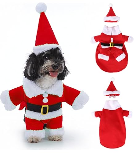 Costume De Noël Pour Chien – Chapeau Et Bandana Festifs Pour Petit Chien | Cadeau Mignon Pour Fêtes Et Photos - 4