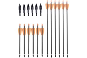 AMEYXGS MILAEM 12pcs Crossbow Bolts 8.5” 16” Carbon Arrows with 100 grain Replaceable Broadheads spine 350 hunting Arrows 2 vanes for Archery Target Practice