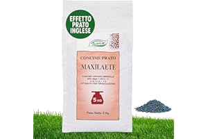 TERRAÉ Concime Prato Invernale 5 KG - 165m² | Effetto Prato Inglese | Concime Granulare Lenta Cessione per Tappeto Verde Rigoglioso | Fertilizzante Prato Erboso con Antimuschio per Erba Sana | NPK