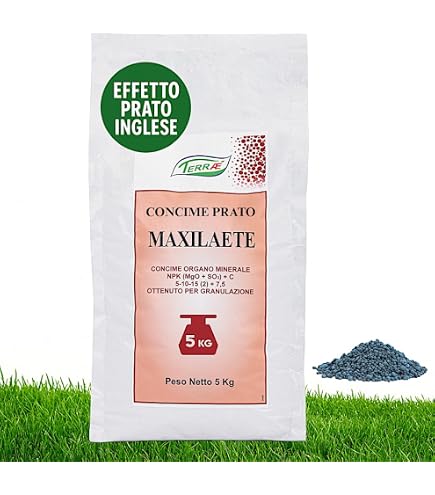 Neudorff Fertilizzante Azet Per Prato - 2,5 Kg - Prato Verde E Folto Senza Infestanti