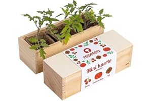 RESETEA Mini Huerto de Tomates - Cherry, Corazón de Buey y Raf | Huerto Urbano | Regalo Original