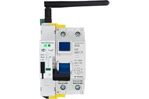 SMART-HOME Interrupteur Différentiel Monophasé 30mA Type A & AC 63A 14kW - Réarmement Automatique - Fonctionnement Manuel et Programmation ON/OFF Heure/Jour via App Tuya Wi-Fi - Certifié RCCB EN 61008-1