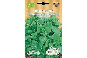 Germisem Biologico Tetragone Semi di Spinaci 1 g