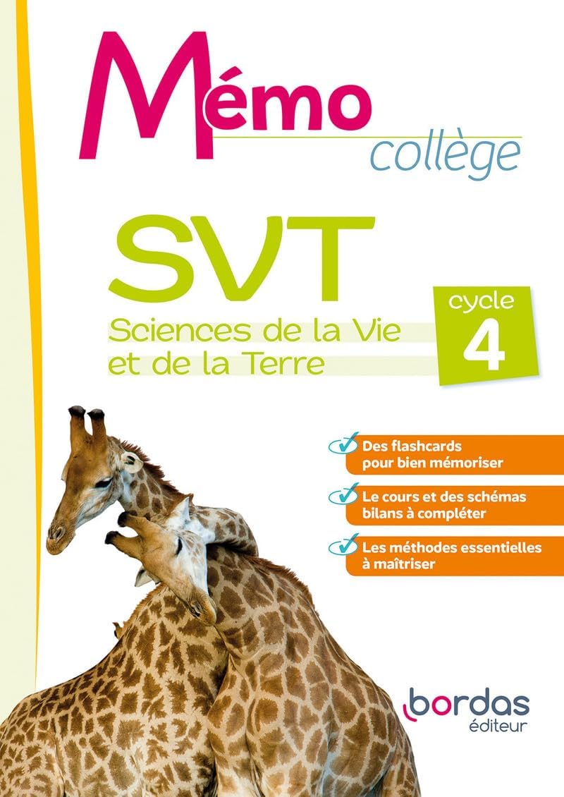 Vue 5