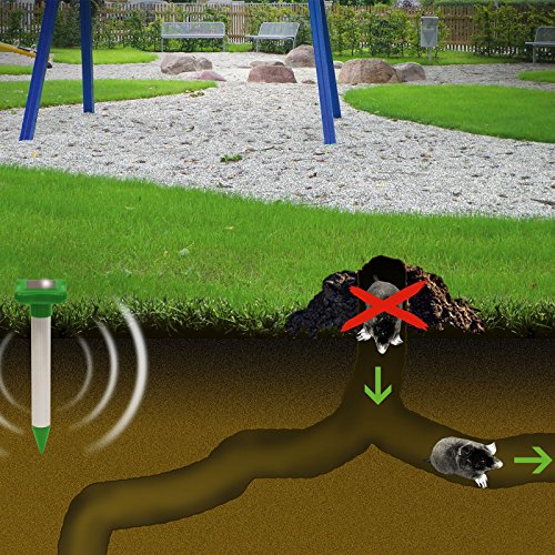 Gardigo Solar Maulwurfabwehr, Maulwurfschreck, Maulwurfbekämpfung, Wühlmausschreck, mit Alu-Stab und IP56, 700 m² Wühltierfrei - 4