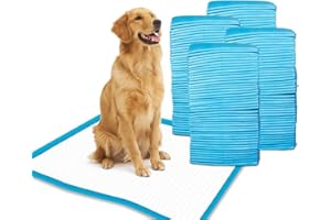 HSD HIMALAYAN SALT DIRECT HSD Pack of 100 Puppy Pads 60 x 60 Large Size Dog Training Pee Mats Dry Paws, Highly Absorbent, Disposable and Leakproof