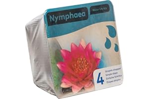 Moerings Red Water Lily Pond Plant Kit - Complete Kit for Easy Pond Setup