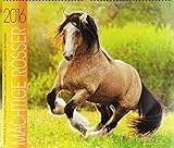 Mächtige Rösser 2016 by