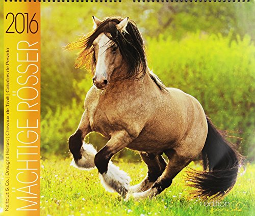 Mächtige Rösser 2016