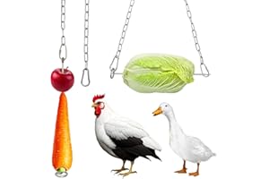 HahaMagic 2 Stück Hühner Futterautomat zum Aufhängen, Obstgabel Aus Edelstahl für huhn mit Häkchen, Huhn Gemüse Obst Spieß, geeignet als Hühner Spielzeug, Zubehör und Beschäftigung