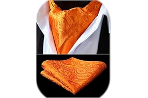 HISDERN Ascot Uomo Paisley Floreale Fazzoletto Cravatta da Matrimonio Elegante Foulard Business Ascots e Pochette Set