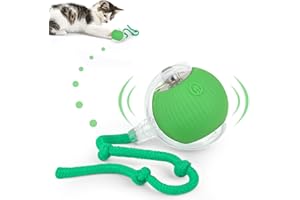 KEWUZY Giocattolo elettrico per gatto, interattivo con LED, palla a 360 gradi, automatica con corda, ricaricabile USB (verde)