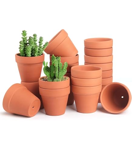 OUNONA Confezione 12 Mini Vasi In Terracotta 3x3,3 Cm Con Foro Di Drenaggio - Ideali Per Piante Grasse, Cactus E Decorazioni Fai Da Te - 2