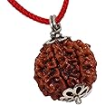 DEVAMA THE DIVINE Original and Certified 7 Mukhi Rudraksha/Seven Faced Nepali Rudraksh Pendant for Men and Women