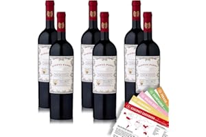 ‎VINOX Doppio Passo Primitivo Puglia, halbtrocken, sortenreines Weinpaket + VINOX Winecards (6x0,75l)