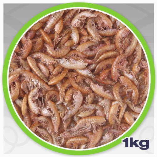 Gammarus Bachflohkrebse getrocknet 1,0 kg netto - ideal als z. B. Koifutter oder Reptilienfutter - Proteinfutter in Spitzenqualität zum kleinen Preis!